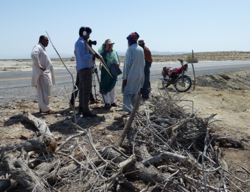 The Baluchistan shoot