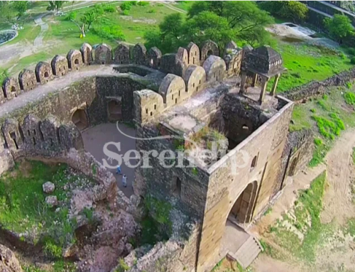 Serendipity Pakistan