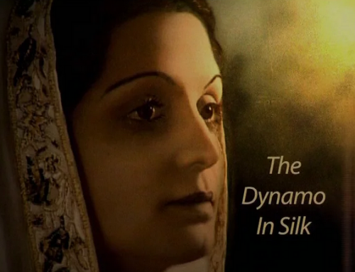 The Dynamo In Silk